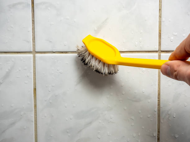 Best Certified Mold Removal  in New Baden, IL