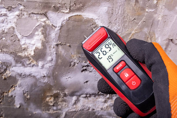 Best Office Mold Removal Services  in New Baden, IL