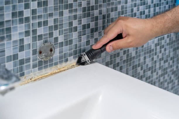 Best Emergency Mold Removal  in New Baden, IL